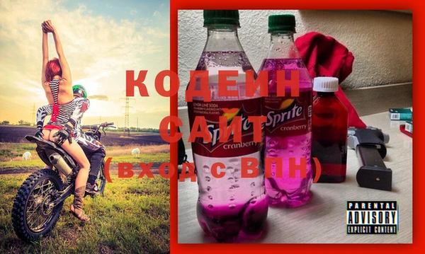 ГАЛЛЮЦИНОГЕННЫЕ ГРИБЫ Вязники