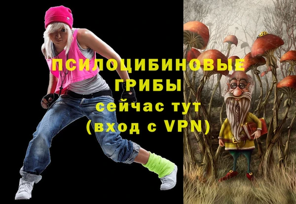 ГАЛЛЮЦИНОГЕННЫЕ ГРИБЫ Вязники