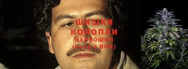 ГАЛЛЮЦИНОГЕННЫЕ ГРИБЫ Вязники