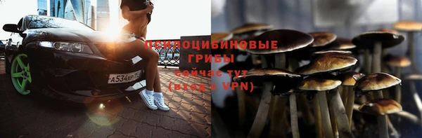 ГАЛЛЮЦИНОГЕННЫЕ ГРИБЫ Вязники