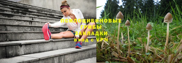 круглые Вязьма