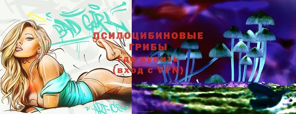круглые Вязьма