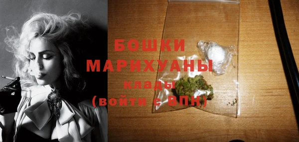 ГАЛЛЮЦИНОГЕННЫЕ ГРИБЫ Вязники