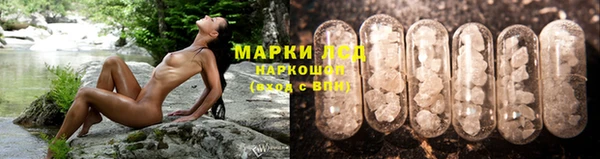круглые Вязьма