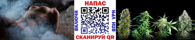 Бошки марихуана Amnesia  купить закладку  Тверь 